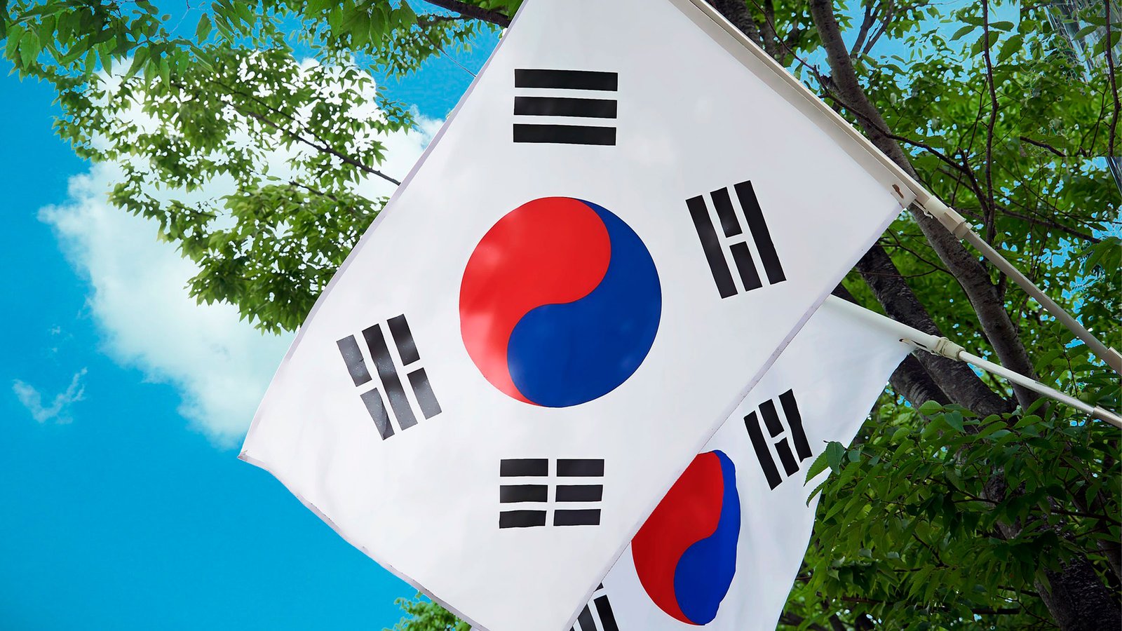 coreia-do-sul-02_fdw